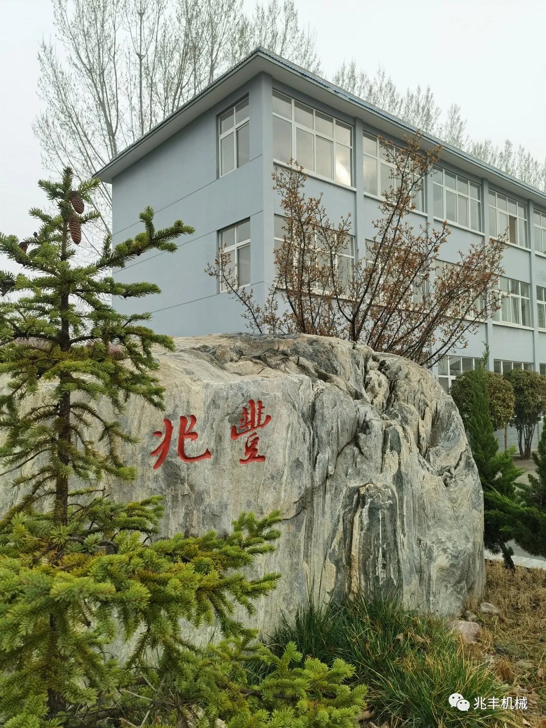 1.webp.jpg 1.webp.jpg